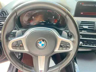 BMW X3 2019 xDrive30i Leading Type M Sports suit exterior photo 6