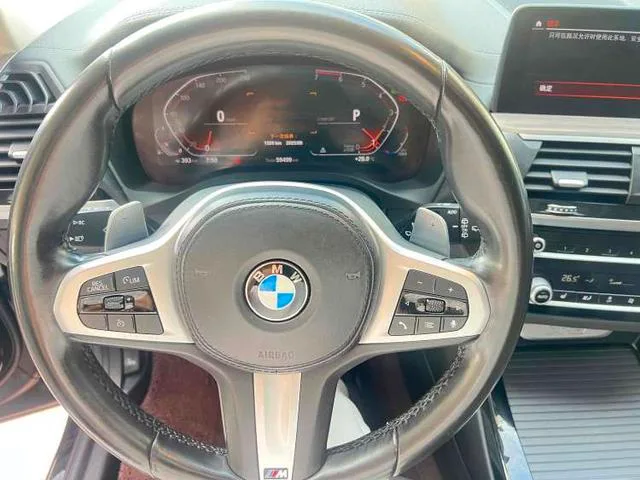 BMW X3 2019 xDrive30i Leading Type M Sports suit exterior photo 6