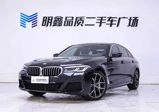 BMW 5 Series 2021 530Li Tipo de lujo M Conjunto deportivo