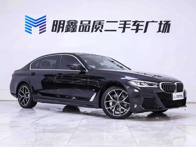 BMW 5 Series 2021 530Li Tipo de lujo M Conjunto deportivo exterior foto 6