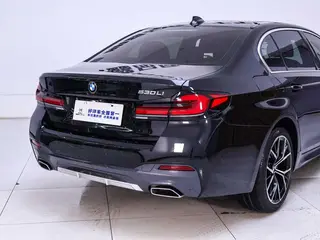BMW 5 Series 2021 530Li Tipo de lujo M Conjunto deportivo exterior foto 9