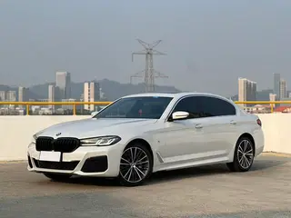 BMW 5 Series 2021 Модификация 530Li Лидирующий M Спортивный костюм