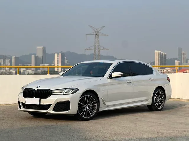 BMW 5 Series 2021 Модификация 530Li Лидирующий M Спортивный костюм экстерьер фото 1 BMW 5 Series 2021 Модификация 530Li Лидирующий M Спортивный костюм экстерьер фото 1