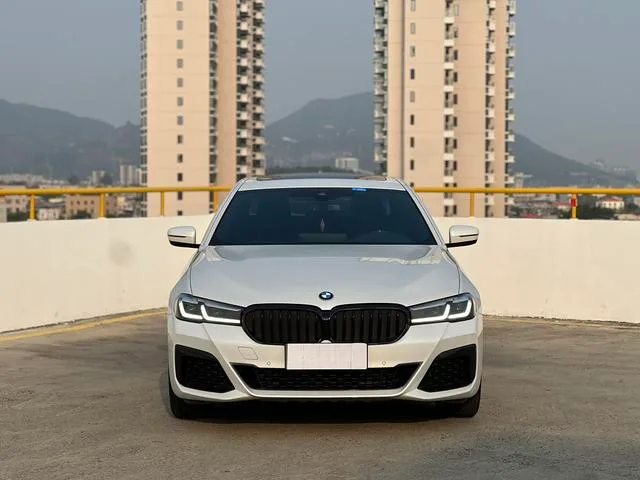 BMW 5 Series 2021 Модификация 530Li Лидирующий M Спортивный костюм экстерьер фото 2 BMW 5 Series 2021 Модификация 530Li Лидирующий M Спортивный костюм экстерьер фото 2