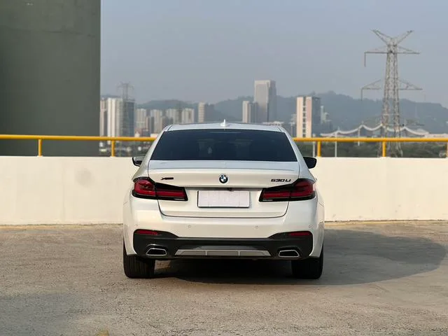 BMW 5 Series 2021 Модификация 530Li Лидирующий M Спортивный костюм экстерьер фото 5 BMW 5 Series 2021 Модификация 530Li Лидирующий M Спортивный костюм экстерьер фото 5