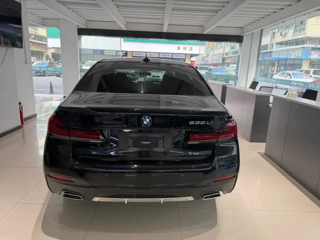 BMW 5 Series 2021 530Li Лидирующий M Спортивный костюм экстерьер фото 5 BMW 5 Series 2021 530Li Лидирующий M Спортивный костюм экстерьер фото 5