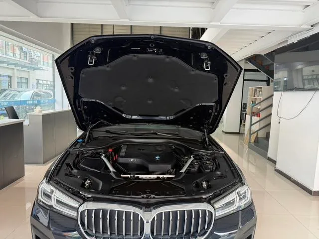 BMW 5 Series 2021 530Li Лидирующий M Спортивный костюм интерьер фото 14 BMW 5 Series 2021 530Li Лидирующий M Спортивный костюм интерьер фото 14