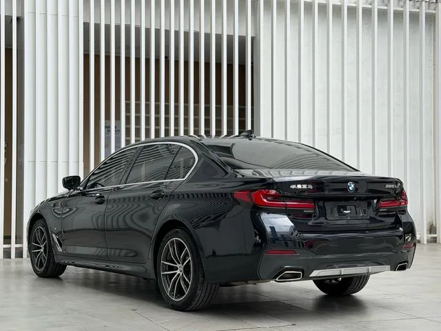 BMW 5 Series 2022 Модификация 525Li M Спортивный костюм интерьер фото 12 BMW 5 Series 2022 Модификация 525Li M Спортивный костюм интерьер фото 12