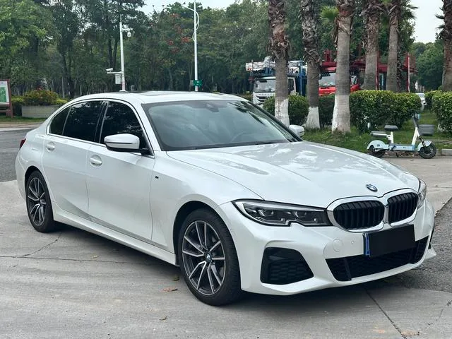 BMW 3 Series 2021 Deuxième lifting 325Li M Ensemble de sport extérieur photo 3