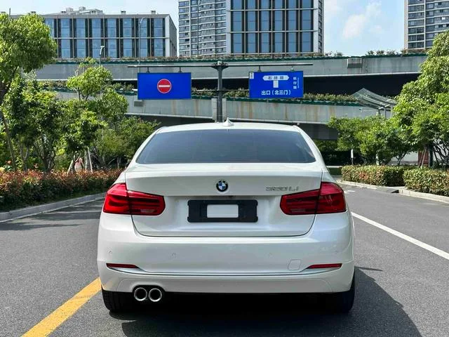 BMW 3 Series 2019 320Li Fashionable interior photo 14