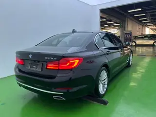 BMW 5 Series 2020 Versión mejorada de kilometraje 530Le Traje de lujo exterior foto 3