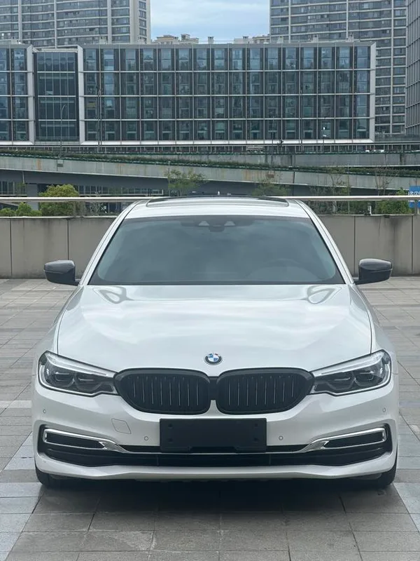 BMW 5 Series 2020 530Le Traje de lujo exterior foto 2