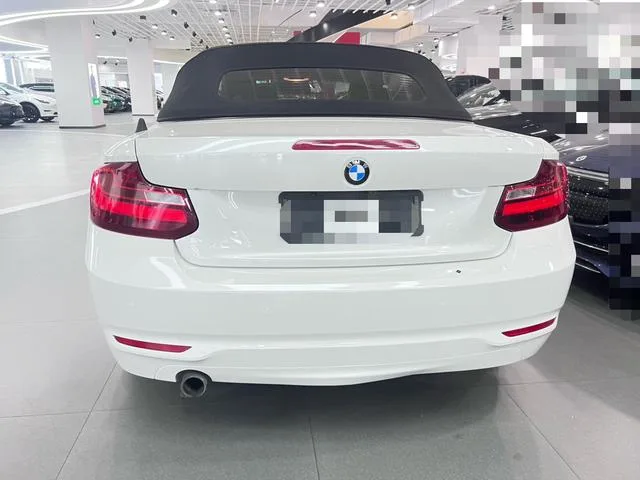 BMW 2 Series 2017 220i Convertible Coupe Leading Type interior photo 11 BMW 2 Series 2017 220i Convertible Coupe Leading Type interior photo 11