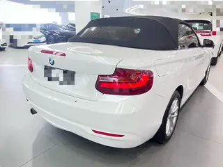 BMW 2 Series 2017 220i Convertible Coupe Leading Type interior photo 12 BMW 2 Series 2017 220i Convertible Coupe Leading Type interior photo 12