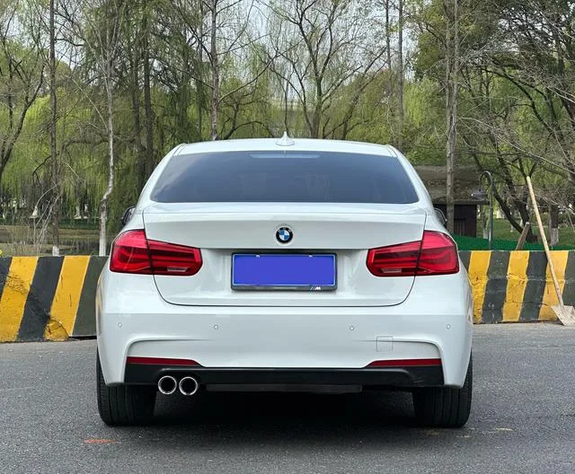 BMW 3 Series 2019 320Li M Ensemble de luxe extérieur photo 6