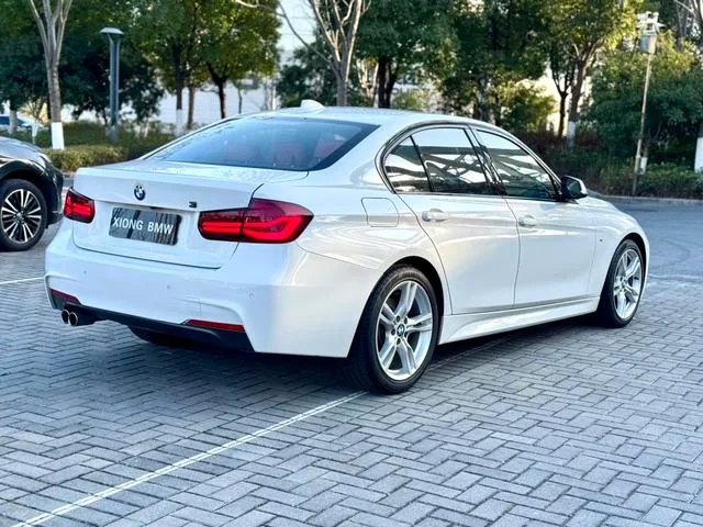 BMW 3 Series 2017 320i M Спортивный интерьер фото 14