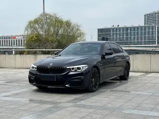 BMW 5 Series 2019 530Li Líder M Conjunto deportivo