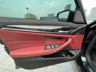BMW 5 Series 2019 530Li Líder M Conjunto deportivo interior foto 15