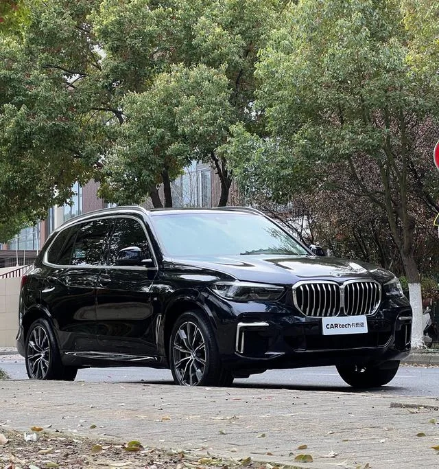 BMW X5 2022 Restyling xDrive 30Li M Sports suit exterior photo 3