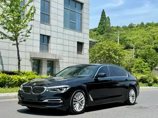BMW 5 Series 2020 530Le Роскошный набор