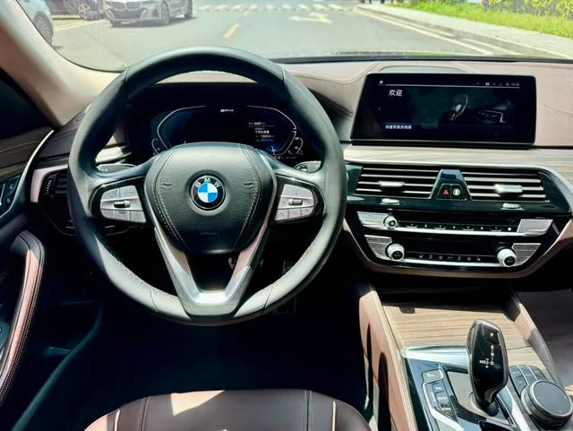 BMW 5 Series 2020 530Le Traje de lujo exterior foto 6