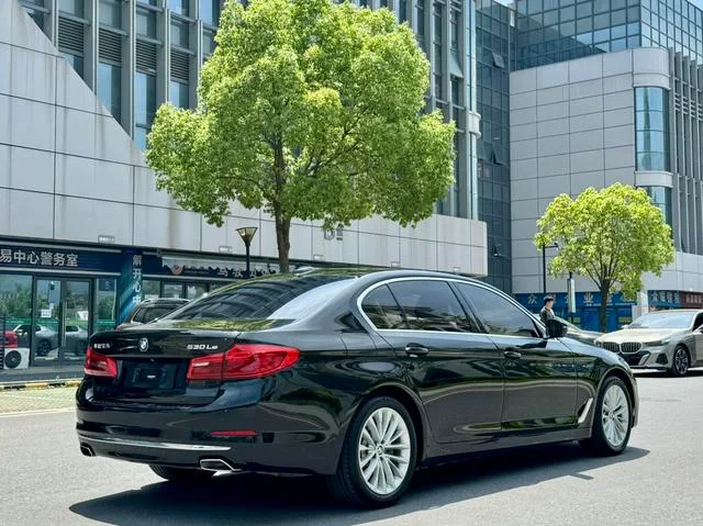 BMW 5 Series 2020 530Le Traje de lujo interior foto 14