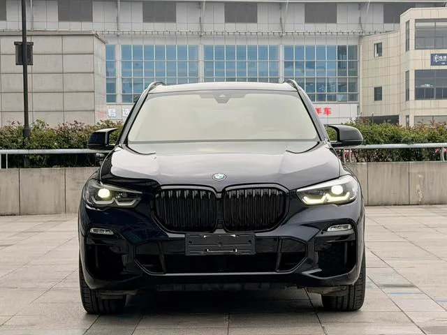 BMW X5 2020 xDrive30i M Sports suit exterior photo 2