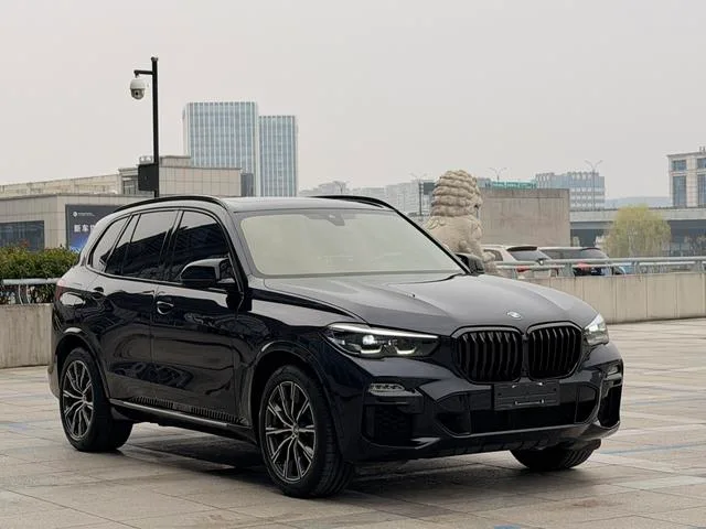 BMW X5 2020 xDrive30i M Sports suit exterior photo 3