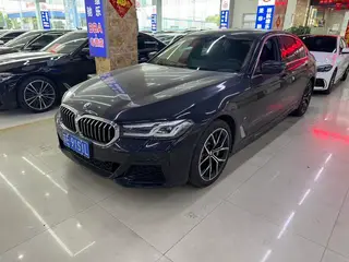 BMW 5 Series 2021 530Li Type de luxe M Ensemble de sport