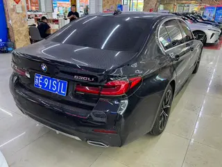 BMW 5 Series 2021 530Li Type de luxe M Ensemble de sport intérieur photo 11
