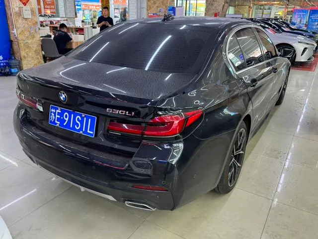 BMW 5 Series 2021 530Li Type de luxe M Ensemble de sport intérieur photo 11