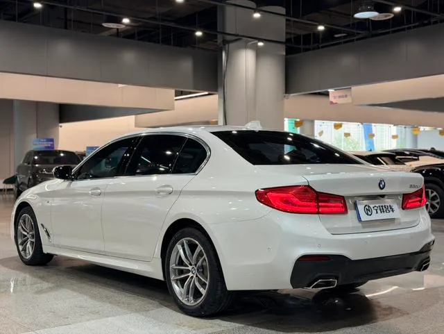 BMW 5 Series 2020 525Li M Conjunto deportivo exterior foto 6
