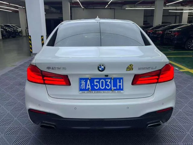 BMW 5 Series 2020 530Li Leading Type M Sports suit exterior photo 4