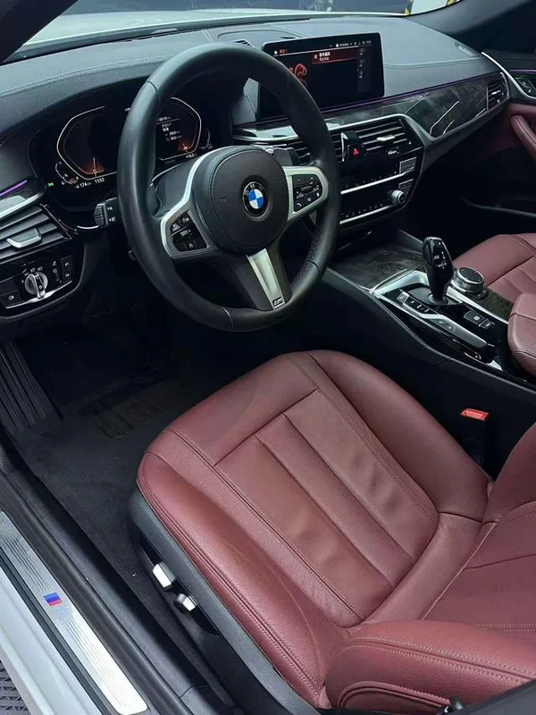 BMW 5 Series 2020 530Li Leading Type M Sports suit exterior photo 6