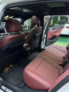 BMW 5 Series 2020 530Li Leading Type M Sports suit exterior photo 7