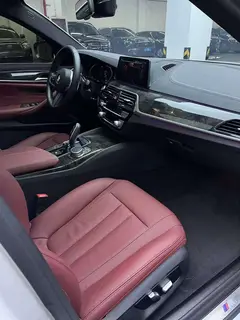 BMW 5 Series 2020 530Li Leading Type M Sports suit exterior photo 8