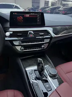 BMW 5 Series 2020 530Li Leading Type M Sports suit interior photo 16