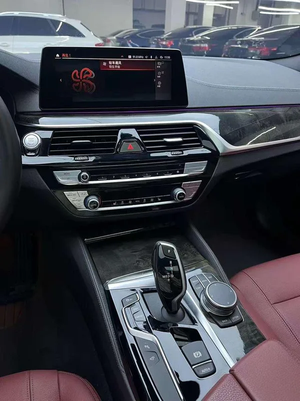 BMW 5 Series 2020 530Li Leading Type M Sports suit interior photo 16