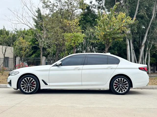 BMW 5 Series 2021 Restyling 525Li Luxury Set interior photo 17 BMW 5 Series 2021 Restyling 525Li Luxury Set interior photo 17