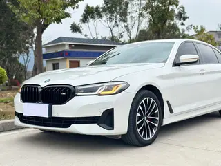 BMW 5 Series 2021 Restyling 525Li Luxury Set interior photo 18 BMW 5 Series 2021 Restyling 525Li Luxury Set interior photo 18