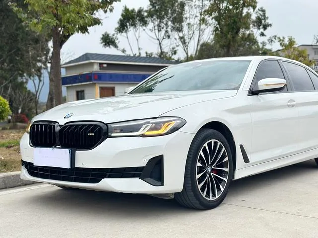 BMW 5 Series 2021 Restyling 525Li Luxury Set interior photo 18 BMW 5 Series 2021 Restyling 525Li Luxury Set interior photo 18