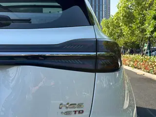 Hongqi HS5 2023 2.0T Flag Collar Pro version interior photo 19 Hongqi HS5 2023 2.0T Flag Collar Pro version interior photo 19