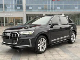 Audi Q7 2021 45 TFSI quattro S line Спортивный