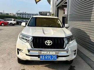 Toyota Prado 2018 3.5L Automatic TX-L Rear spare wheel interior photo 9 Toyota Prado 2018 3.5L Automatic TX-L Rear spare wheel interior photo 9