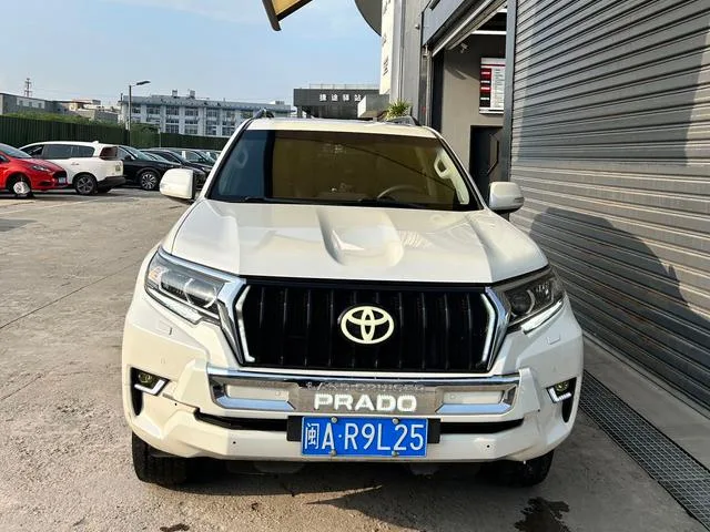 Toyota Prado 2018 3.5L Automatic TX-L Rear spare wheel interior photo 9 Toyota Prado 2018 3.5L Automatic TX-L Rear spare wheel interior photo 9