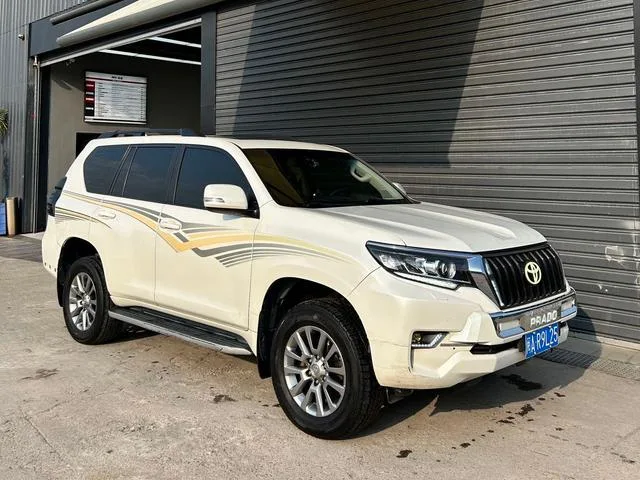 Toyota Prado 2018 3.5L Automatic TX-L Rear spare wheel interior photo 10 Toyota Prado 2018 3.5L Automatic TX-L Rear spare wheel interior photo 10