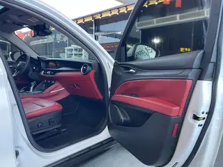 Alfa Romeo Stelvio 2017 2.0T 200HP Elite Edition interior photo 16