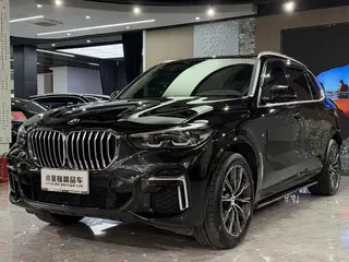 BMW X5 2022 Restyling xDrive 30Li M Sports suit