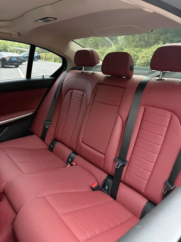 BMW 3 Series 2021 Second change 325Li M Sports Night Suit interior photo 16 BMW 3 Series 2021 Second change 325Li M Sports Night Suit interior photo 16