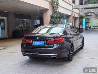 BMW 5 Series 2020 530Li Premium Class Luxury Set exterior photo 4 BMW 5 Series 2020 530Li Premium Class Luxury Set exterior photo 4